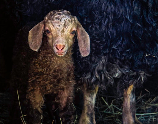 WARDROBE REVOLUTION WEEKEND: FRANCINE MCCABE