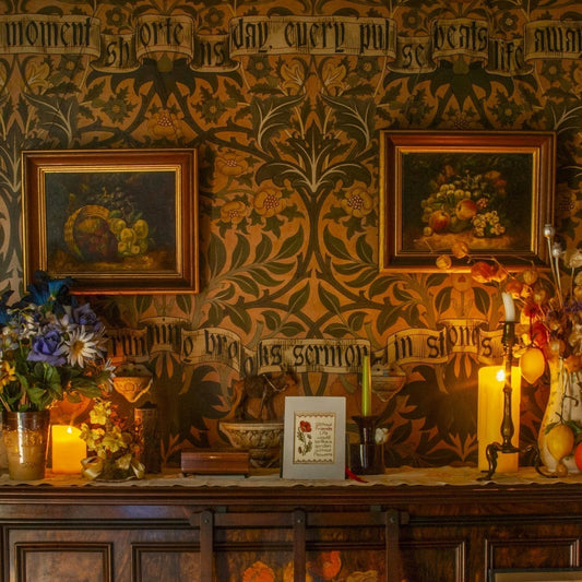 The Man Who Painted His House