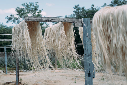 ANGELA DAMMAN: CRAFTS OF YUCATAN