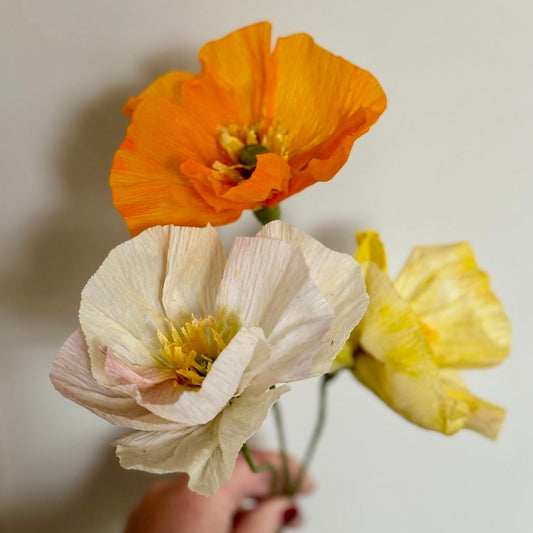 Master the Art: Heritage Craft in the Heart of Shropshire