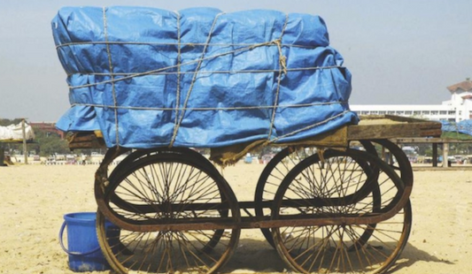 SHELTER FROM THE STORM