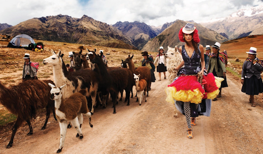 Fashion's Exotic Obsession