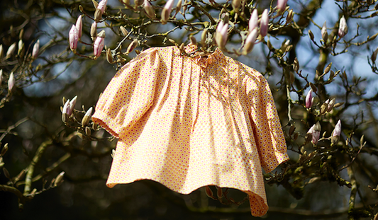 From Somerset To Rajasthan