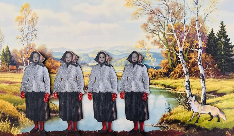 Karin Ferner’s Curiosities