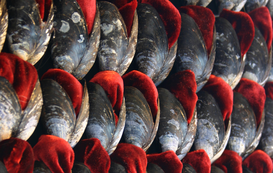 Lesley Millar and Alice Kettle