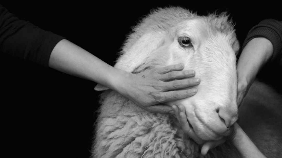 OLTRE TERRA: WHY WOOL MATTERS