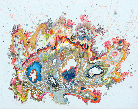 LOUISE GARDINER: EMBROIDERED CAPES