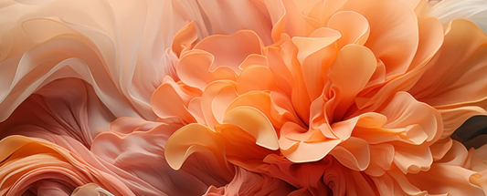 Pantone Colour of 2024: Peach Fuzz