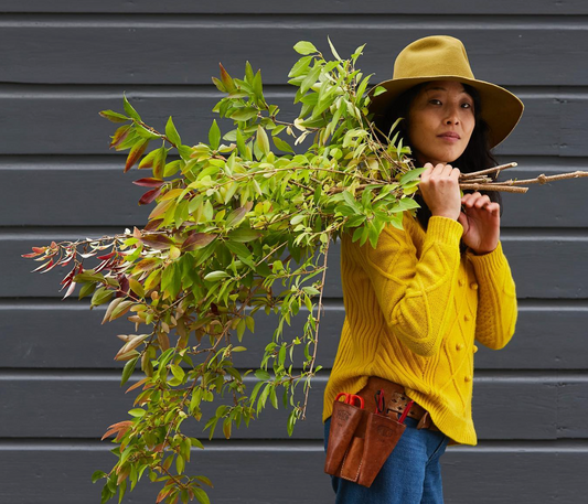 On the Mend: Mending as Metaphor