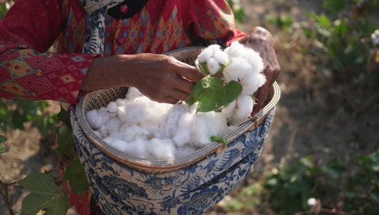 SukkhaCitta: happiness