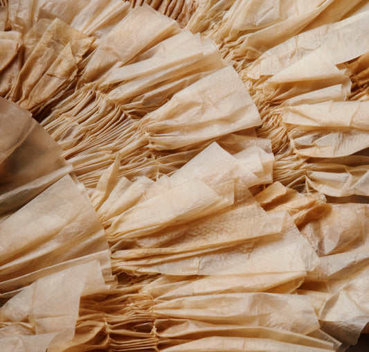 Regenerative Fashion Hub returns