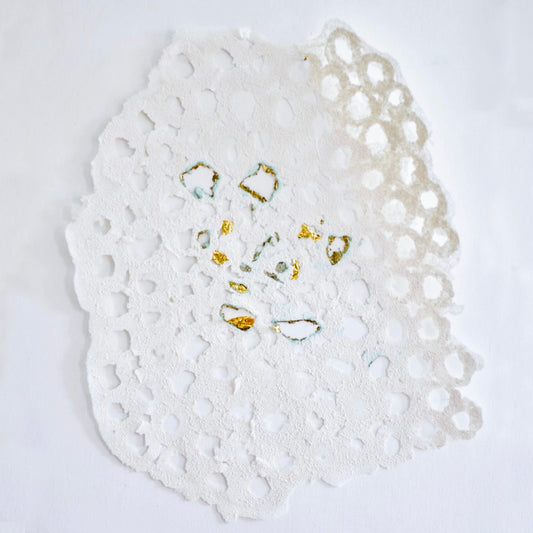 Mykobütten: The Mushroom Papers of Tanja Major