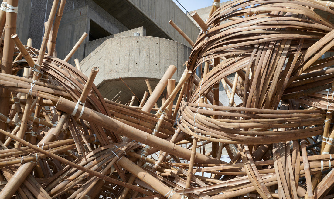 IMMERSIVE BAMBOO