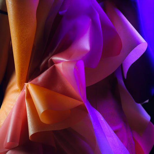 Ritul Rai: From Agar to Avant-Garde