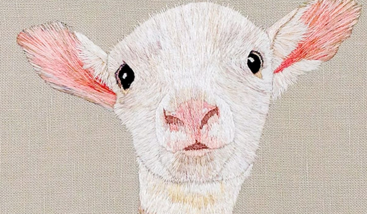 An Apprentice’s Journey