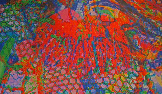 Val Holmes: Legacy Impressions