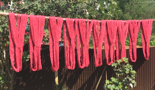 Weaver, Writer, Survivor