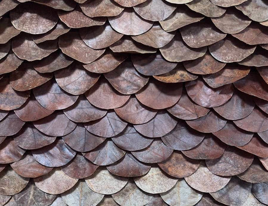 Fallen leaves, fertile ground for Alyssa Jos's creations