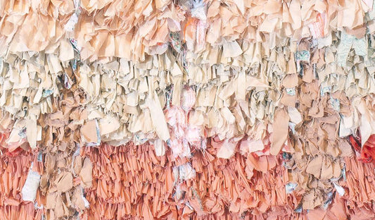 Highlights from the Fair