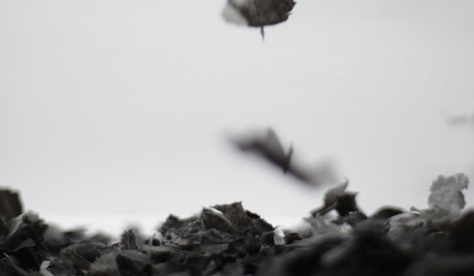 SNOWFLAKES IN SUMMER