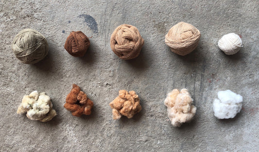 The Legend of Coloured Cotton