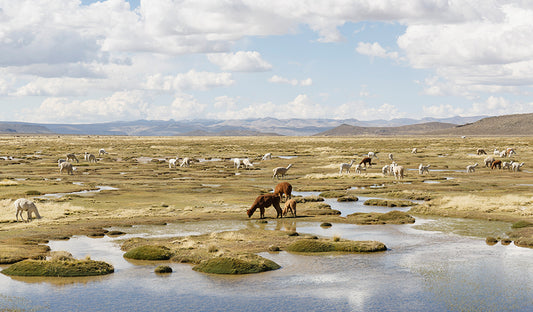 KNITBRARY: KNIT TWO TOGETHER