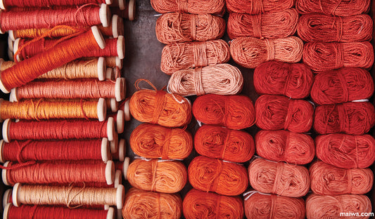 MY LIFE IN COLOUR: THE DYE RECIPES OF TILBURG