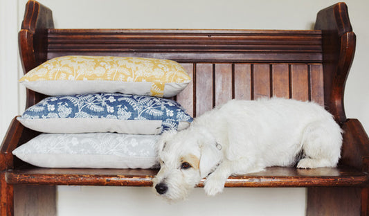 MAD ABOUT MADDER CUTCH & CO