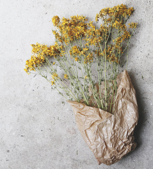 Botanical Dyes: A seasonal guide to sustainable dyeing