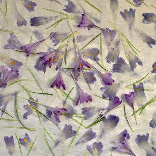 ELEANOR HUMPHREY - Join our natural dyeing and flower printing workshop