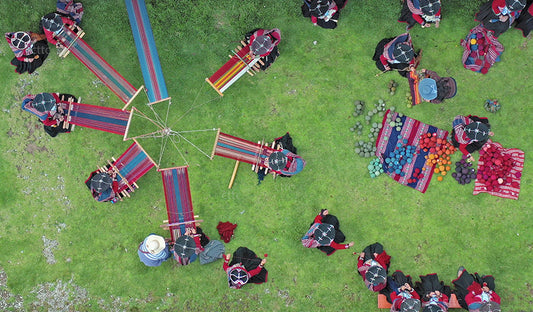 THE BEST SEATS IN THE HOUSE