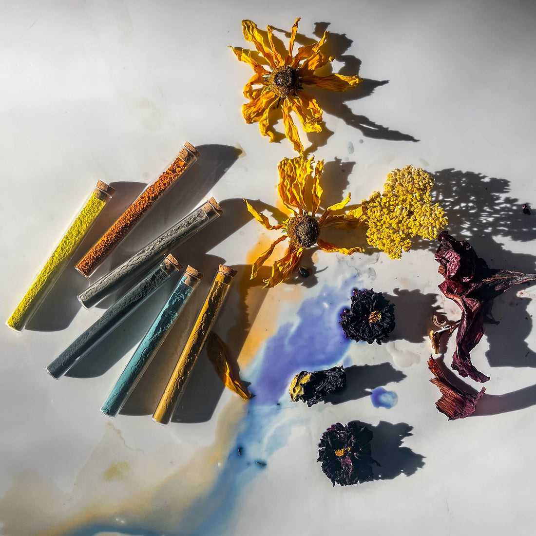 Five Minutes with a Friend: Natalie Stopka