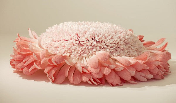 PAPER POSIES