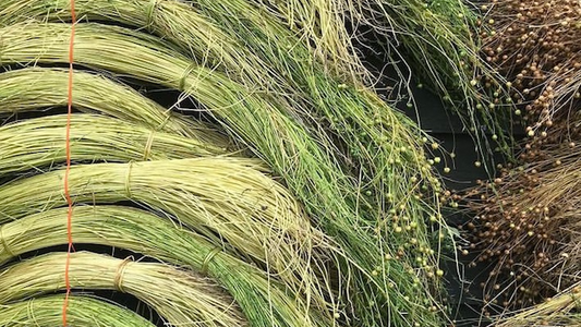 FLAX EXCHANGE COMMUNITY PROJECT