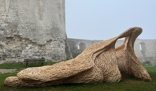 Laura Ellen Bacon: Rejuvenation