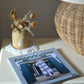 Issue 126 Deco