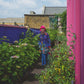 Issue 127 Aurora