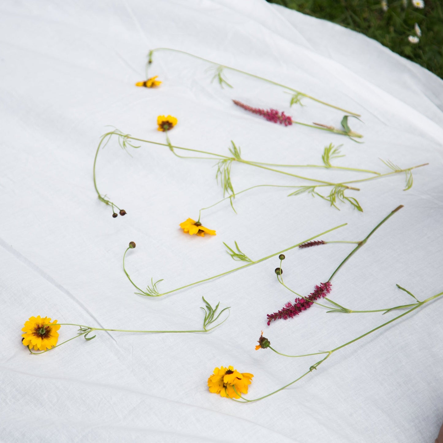 Saturday 28 & Sunday 29 November 2026, 2 - 5pm GMT: Randa Embroidery with Inês Queirós