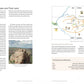 Navajo Weavings with Ceremonial Themes: A Historical Overview of a Secular Art Form, Rebecca M. Valette and Jean-Paul Valette