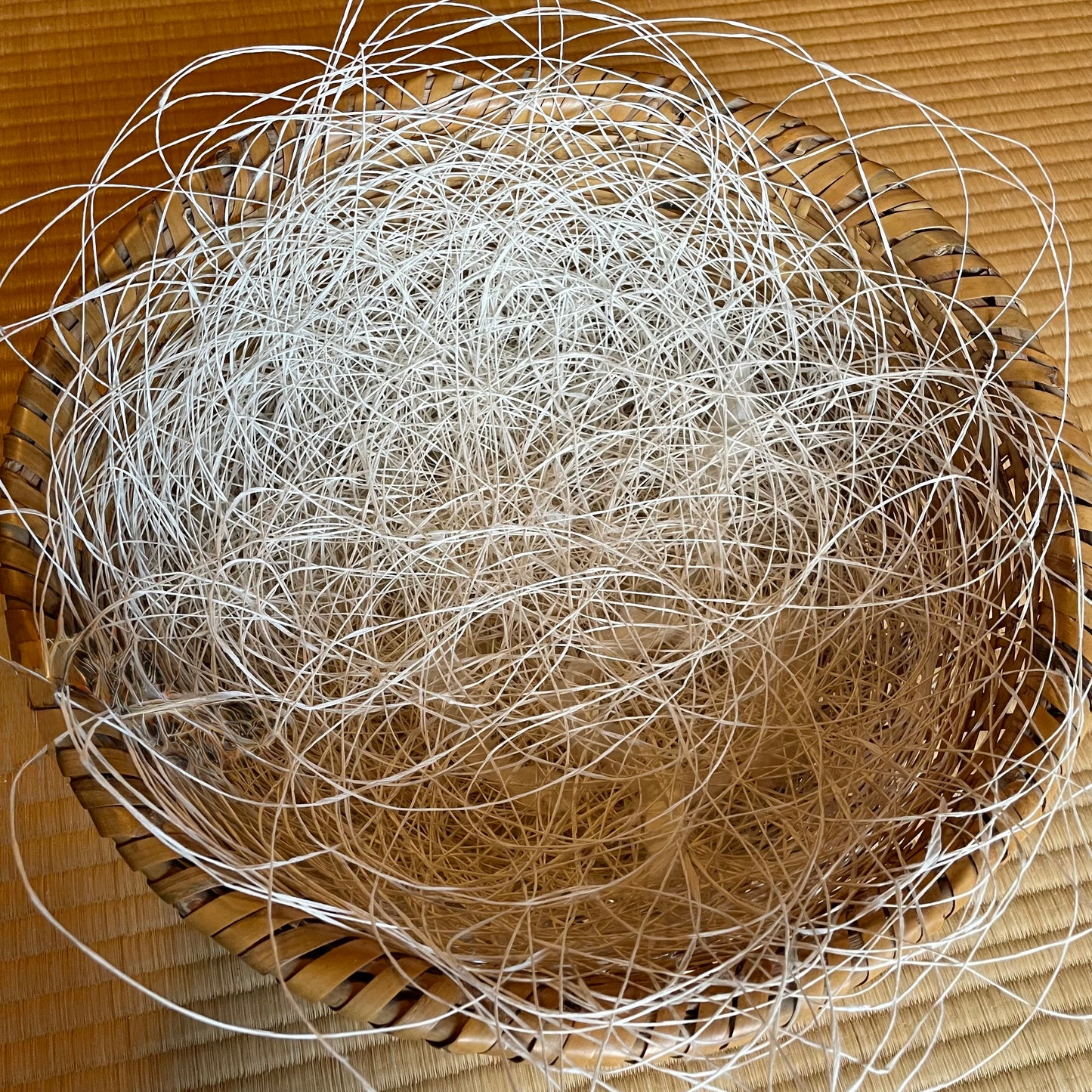 Tuesday 22 - Wednesday 23 September 2026, 11 - 4 p.m.: Workshop, Threads of Paper: Woven Structures and Mark-Making using Paper Thread with Sue Lawty and Kendall Clarke