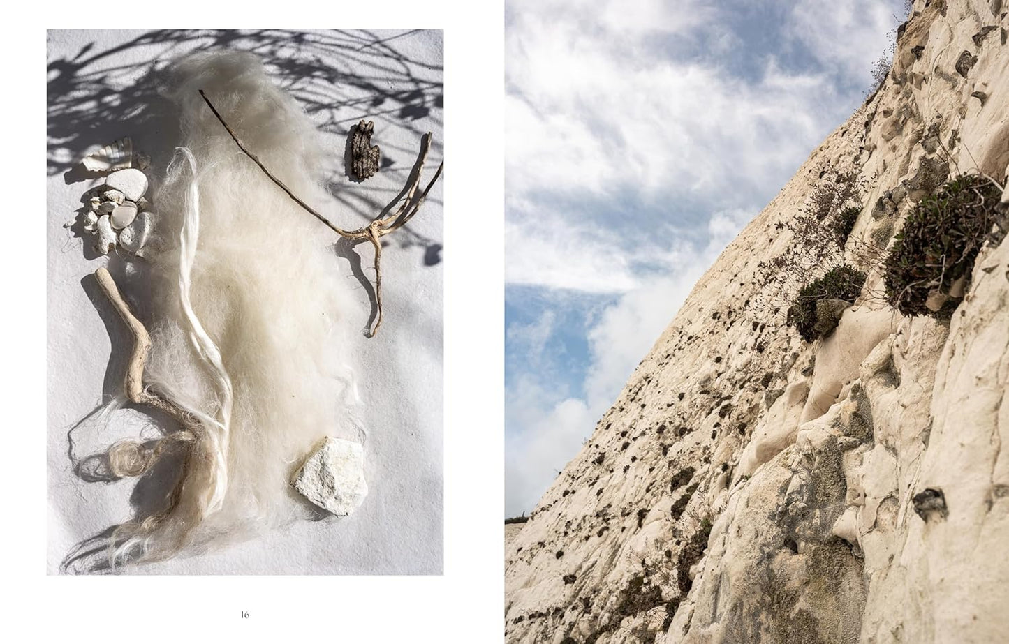 Wild Yarn: Creating Hand-Spun Yarn from Ethical Fibres, Imogen Bright Moon