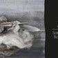 Wild Yarn: Creating Hand-Spun Yarn from Ethical Fibres, Imogen Bright Moon