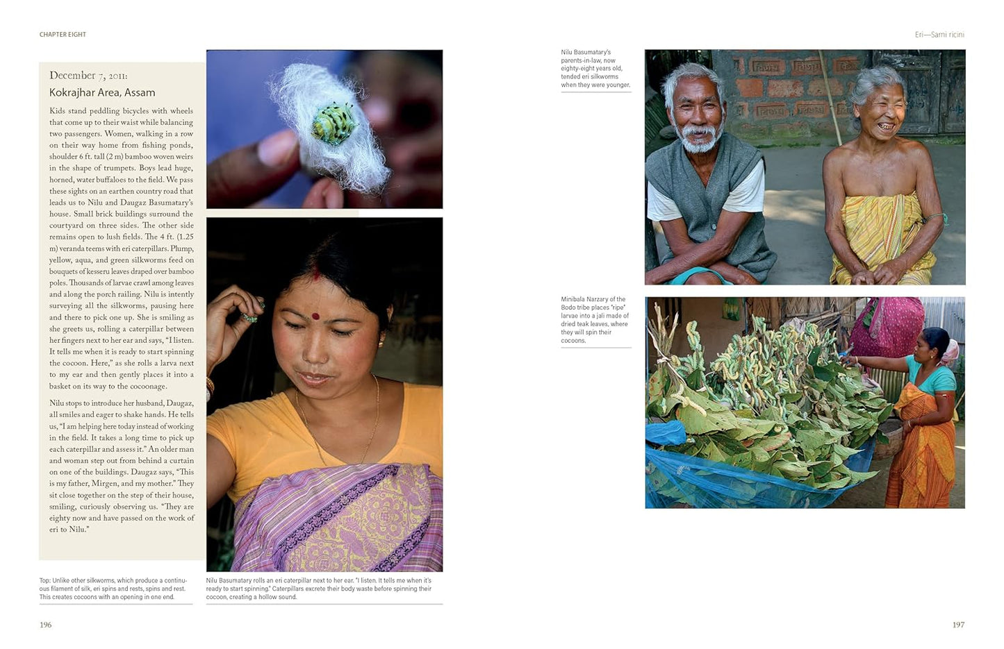 In Search of Wild Silk: Exploring a Village Industry in the Jungles of India