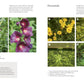 "PRE-ORDER" From Plant to Pigment, Natalie Stopka