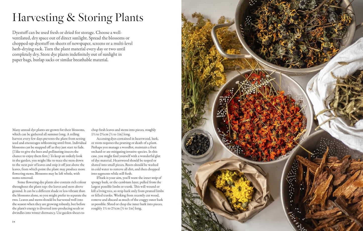 "PRE-ORDER" From Plant to Pigment, Natalie Stopka