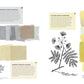 The Natural Dye Handbook: A Comprehensive Guide to Exploring Plant-Based Dyeing Techniques, Heidi Iverson