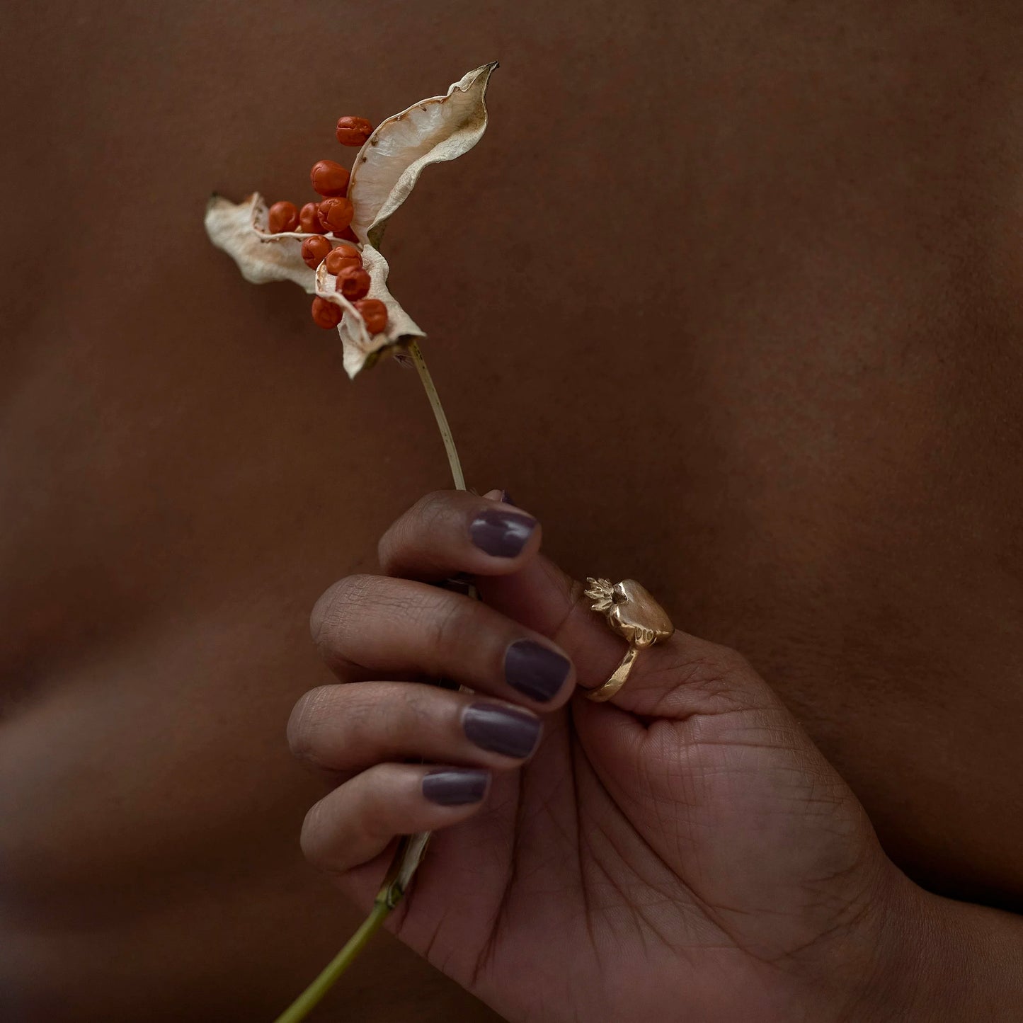 Roo Bannister - Musée Roo