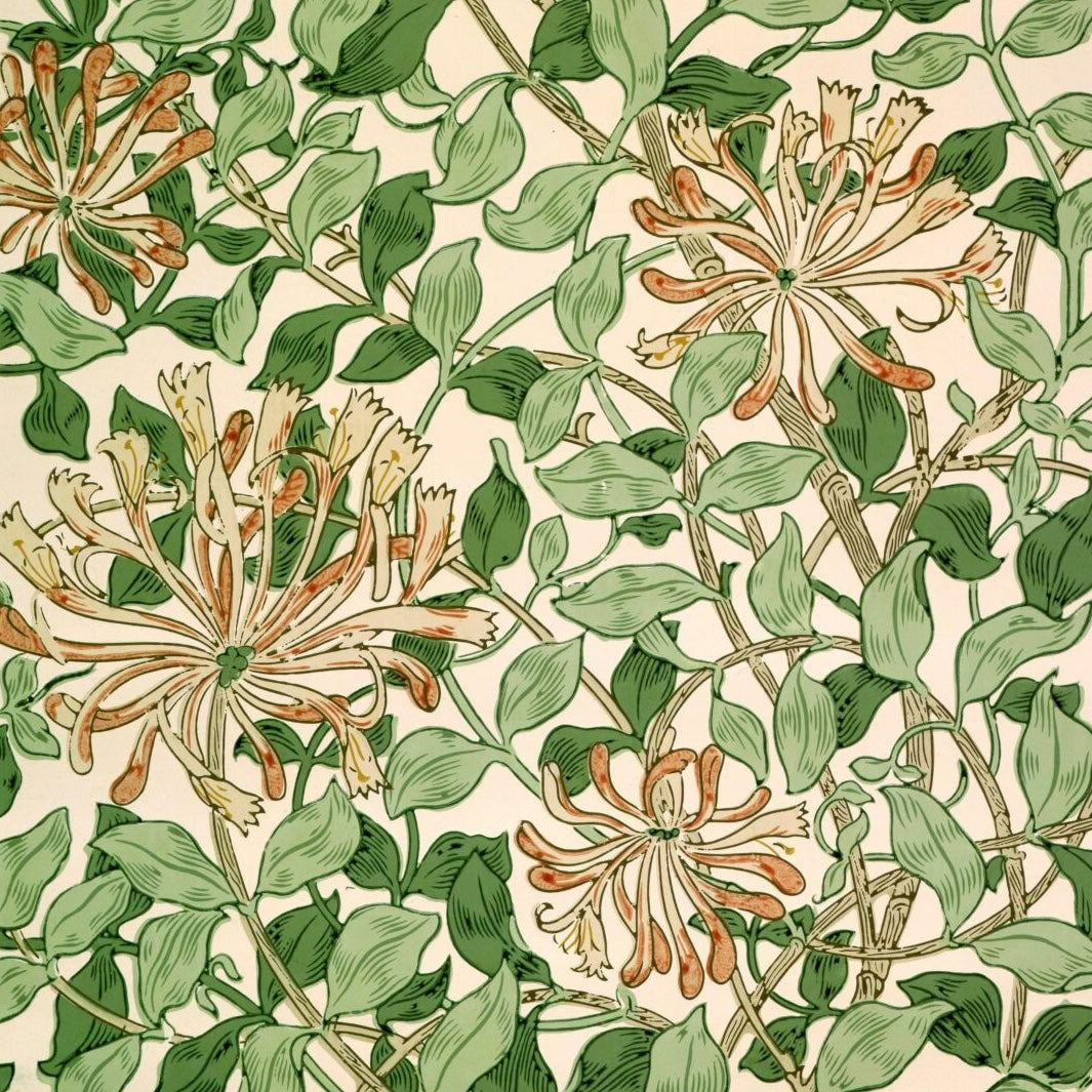 Talk, Morris Mania,  William Morris Gallery