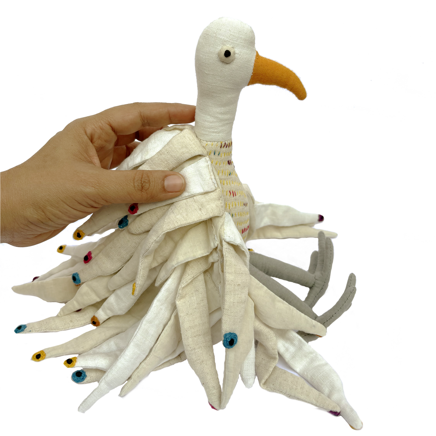 India, Muuyee, Milky Malabar Whistling Thrush