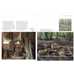 Wild Basketry: Making baskets and natural cordage from foraged plants, Ruby Taylor